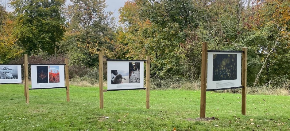 Rethinking diversification